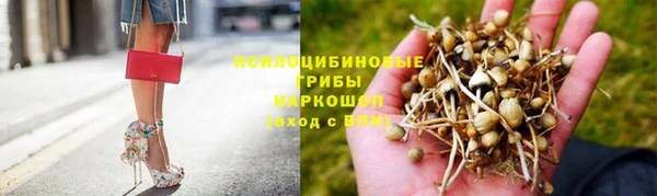 бошки Абинск